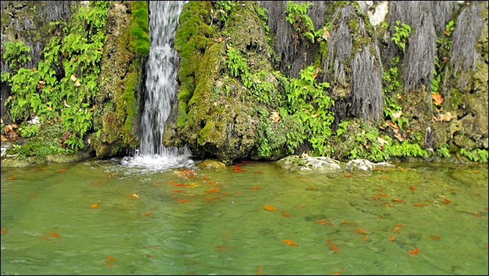 DSCF9033.JPG