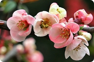 img48A_tmp.jpg img48A_tmp.jpg