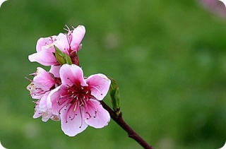 img48B_tmp.jpg img48B_tmp.jpg