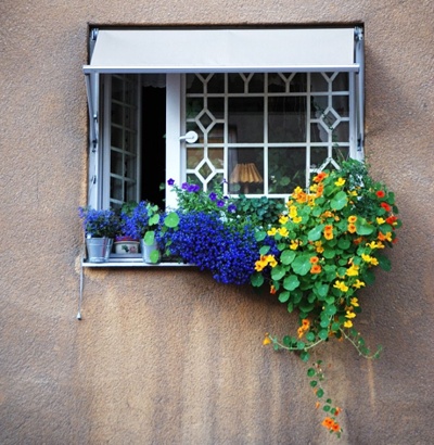 color_img18.jpg