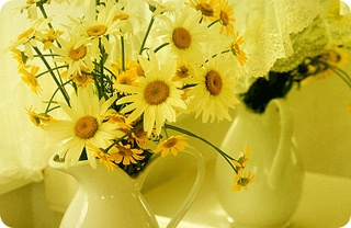 img5D6_tmp.jpg