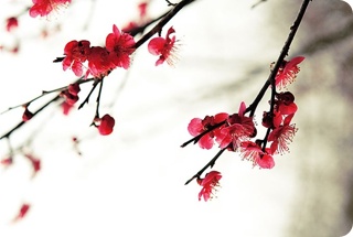 img5EB_tmp.jpg