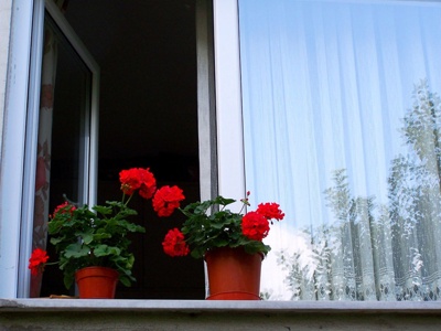 color_img13.jpg color_img13.jpg