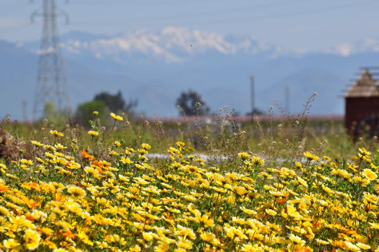 DSC_0070.JPG