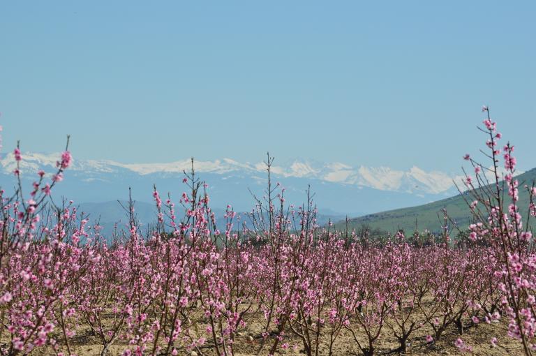 DSC_0123.JPG