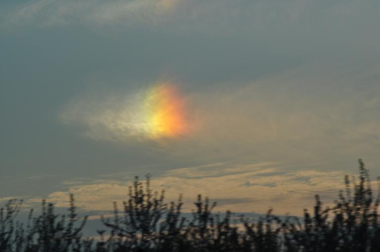 DSC_0221.JPG