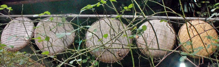 DSCF9072.JPG