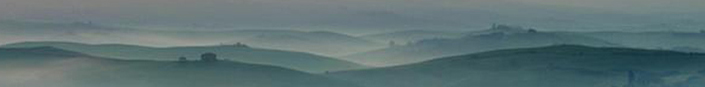 green_gray.jpg