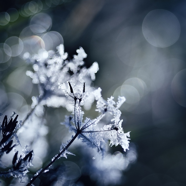 6877998-lg.jpg 6877998-lg.jpg