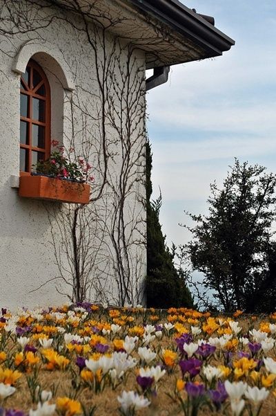 img11C3.jpg