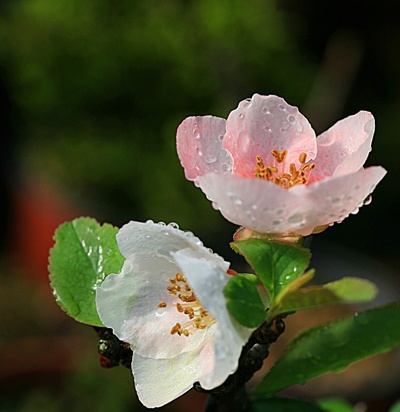 color_12.jpg