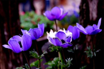 color_11.jpg color_11.jpg