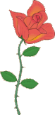color_flower01.gif color_flower01.gif