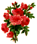 color_flower04.gif color_flower04.gif