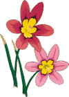 color_flower23.gif color_flower23.gif