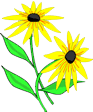 color_flower25.gif color_flower25.gif