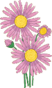 color_flower38.gif color_flower38.gif