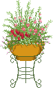 color_flower41.gif color_flower41.gif