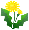 color_flower45.gif color_flower45.gif