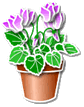 color_flower54.gif color_flower54.gif
