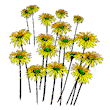 color_flower60.gif color_flower60.gif