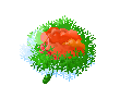 color_flower68.gif color_flower68.gif