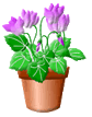 color_flower55.gif color_flower55.gif