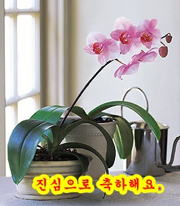 HWE_34735.jpg
