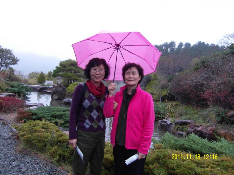 SDC10331.JPG