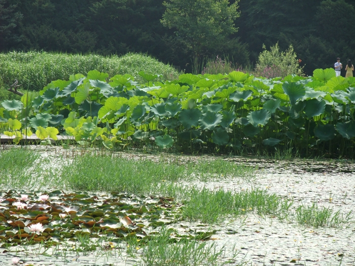 DSCF1320.jpg