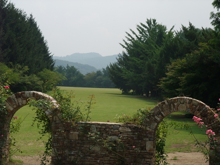 DSCF1329.jpg