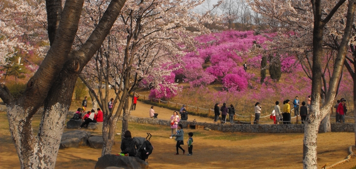 DSCF2181.JPG