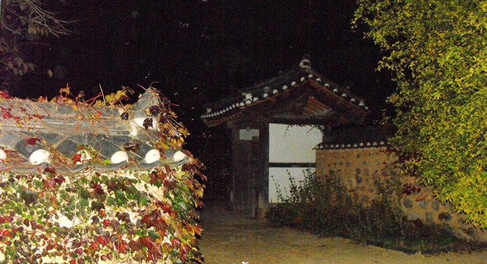 DSCF8920.JPG