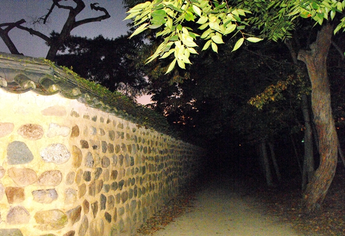 DSCF8922.JPG