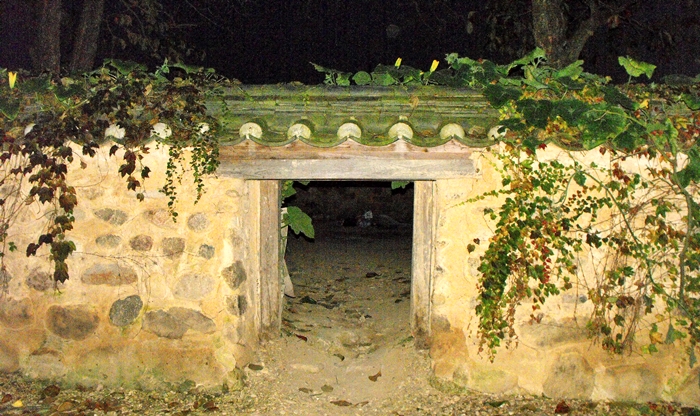 DSCF8930.JPG