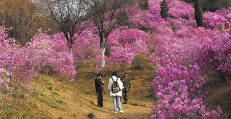 DSCF2188.JPG