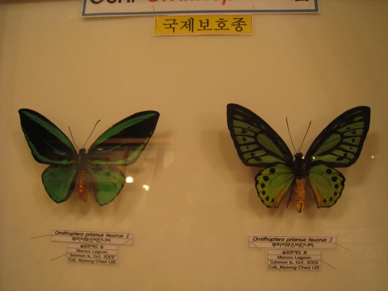 사진 285.jpg