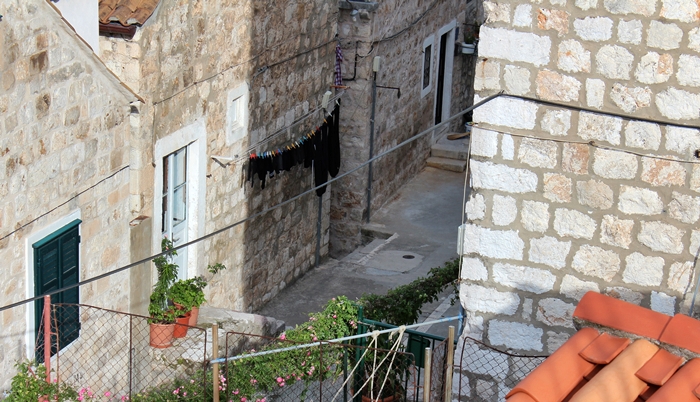IMG_9655.JPG