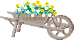 vcolor_flower149.gif
