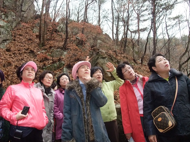 DSCF0287.jpg DSCF0287.jpg