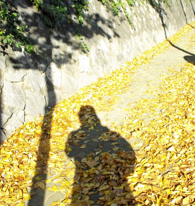 DSCF1003.JPG