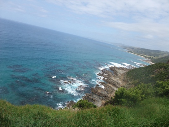 DSCF4414.JPG