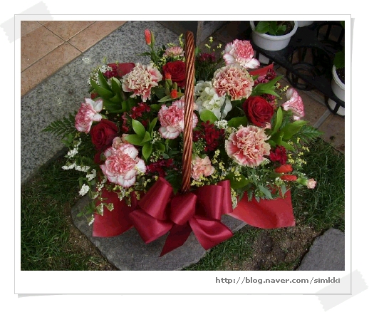 sta41997_1-simkki.jpg sta41997_1-simkki.jpg