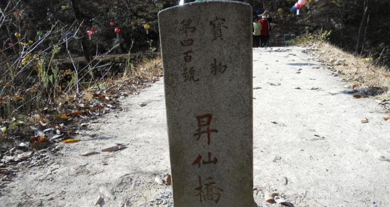 DSCN6466.jpg