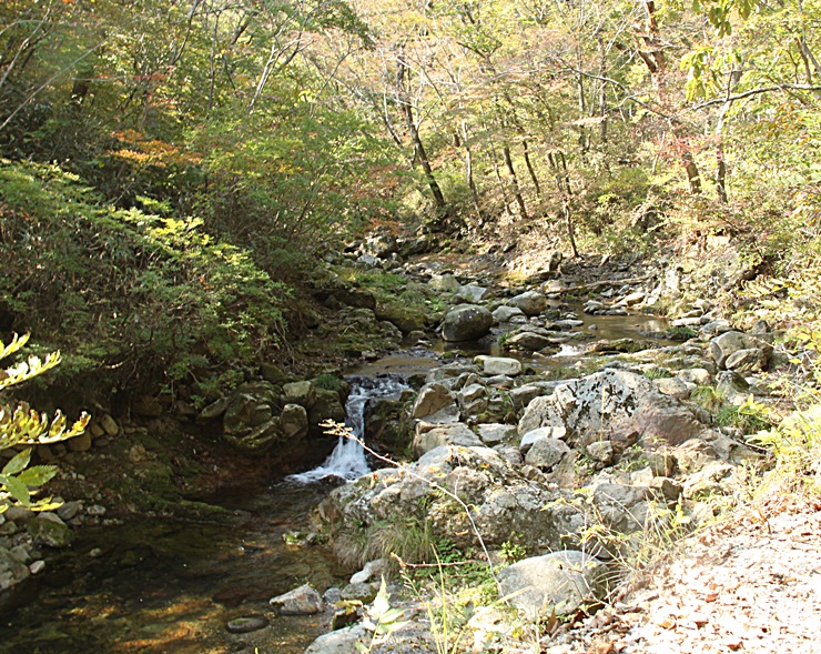 IMG_9867.JPG
