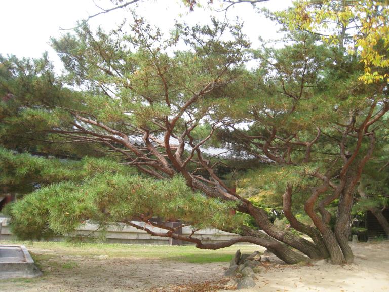 사진 121.jpg 사진 121.jpg