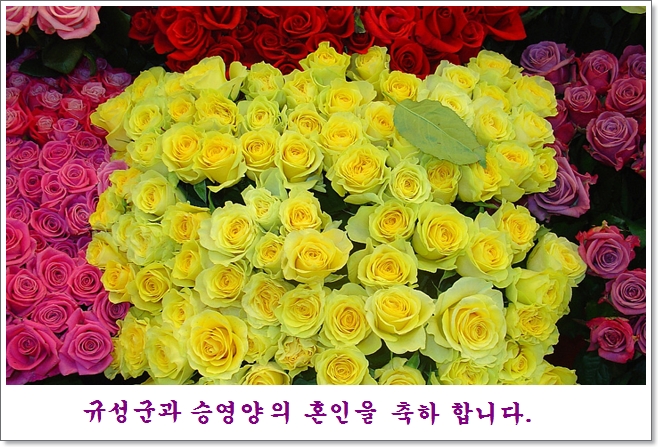 용자.JPG