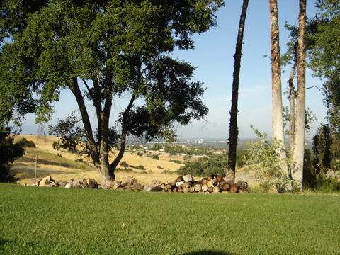 DSC03863.JPG