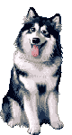 145.gif