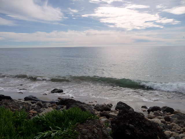 P1010697.JPG